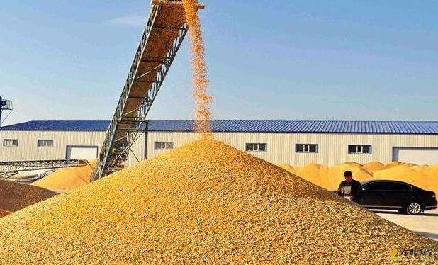 玉米期货