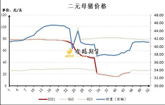 全国后备二元母猪价格