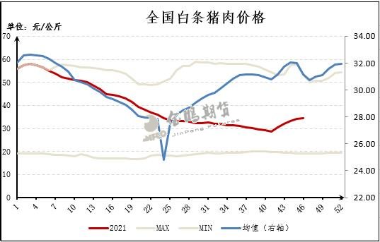 白条猪