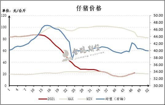 仔猪价格47周