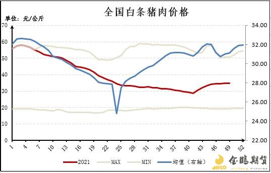 白条猪