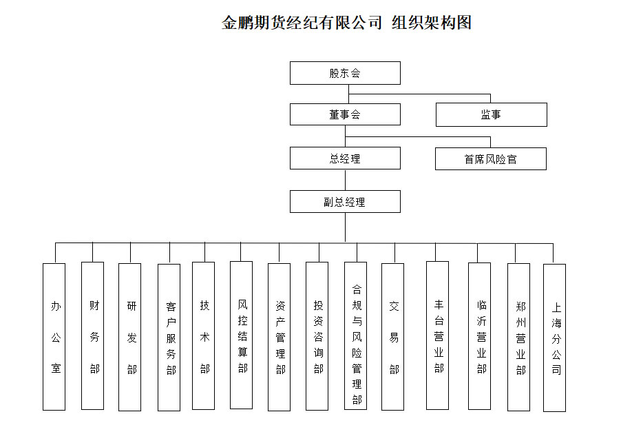 金鹏期货经纪有限公司组织机构图